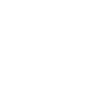 Icon Investitionskosten
